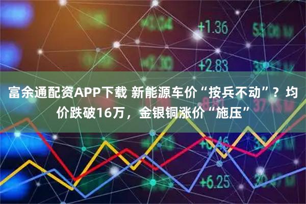 富余通配资APP下载 新能源车价“按兵不动”？均价跌破16万，金银铜涨价“施压”