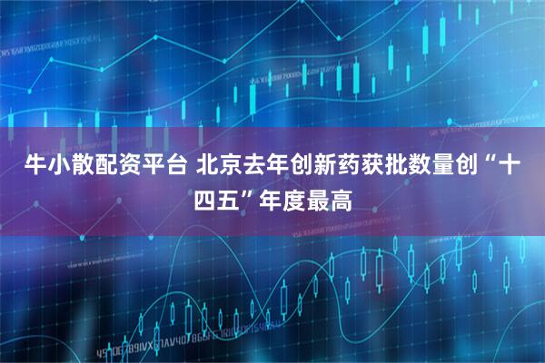 牛小散配资平台 北京去年创新药获批数量创“十四五”年度最高